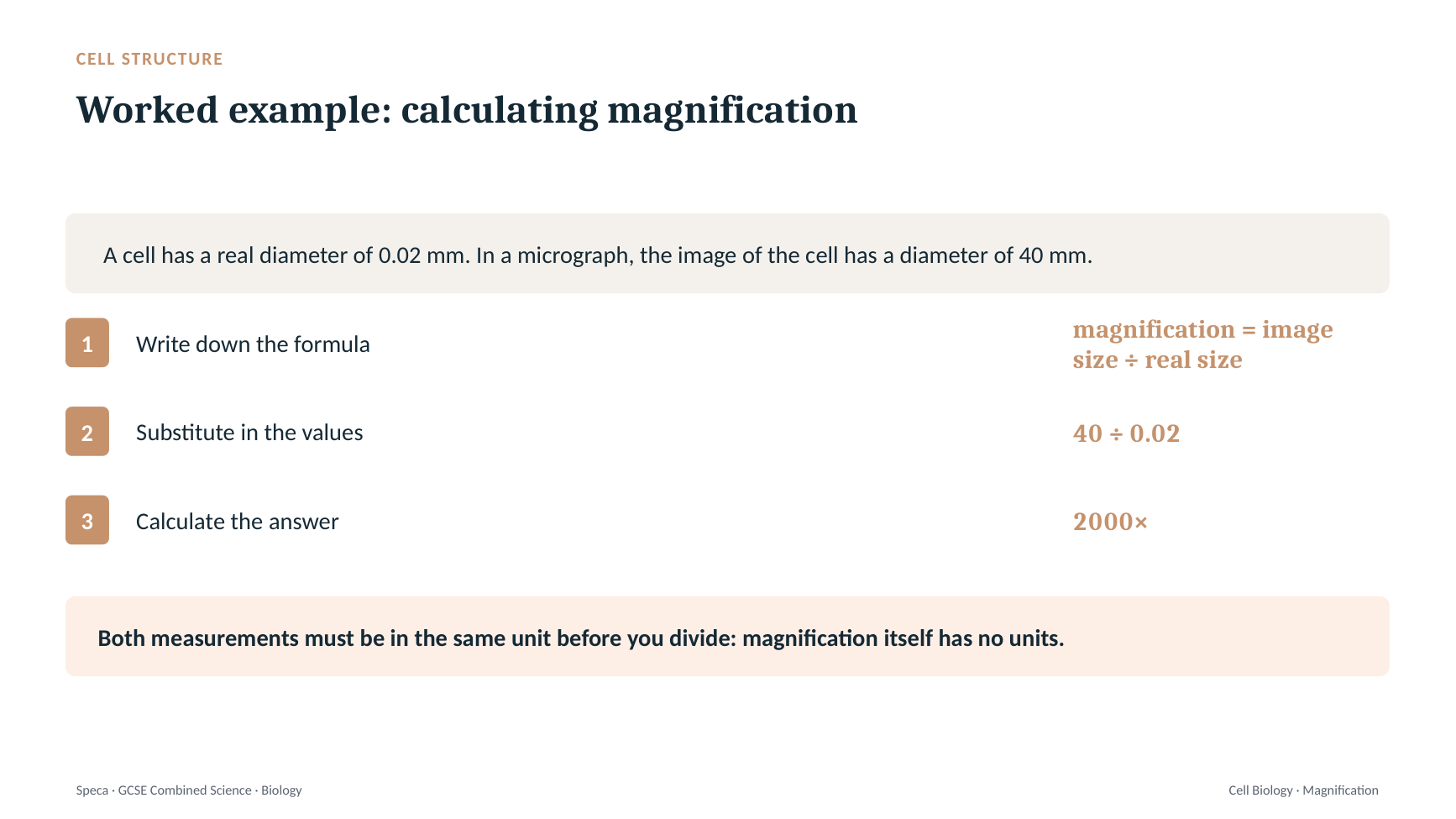 Speca slide: a three-step worked example calculating magnification in GCSE Combined Science.